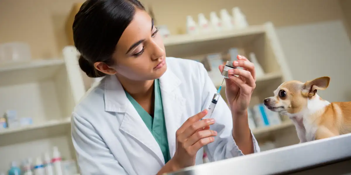 Vacinação em Pets: Calendário Completo e Importância